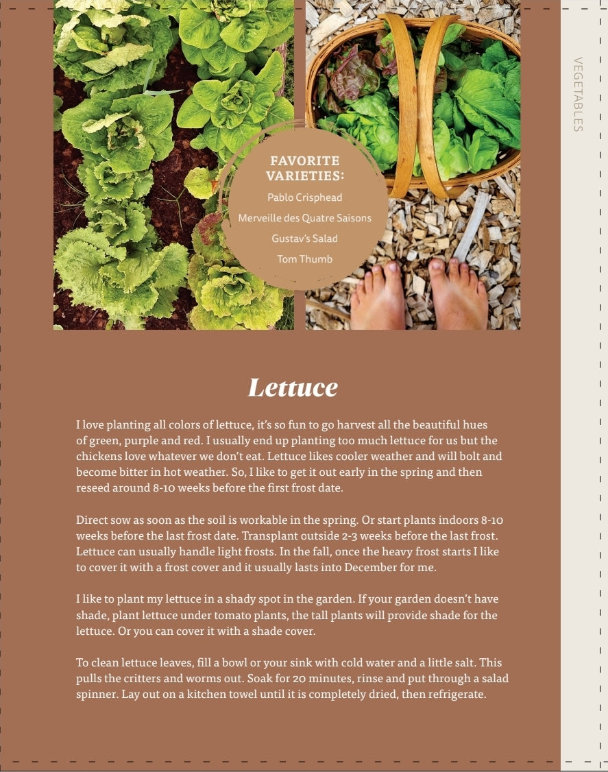 The Nourishing Harvest Cookbook