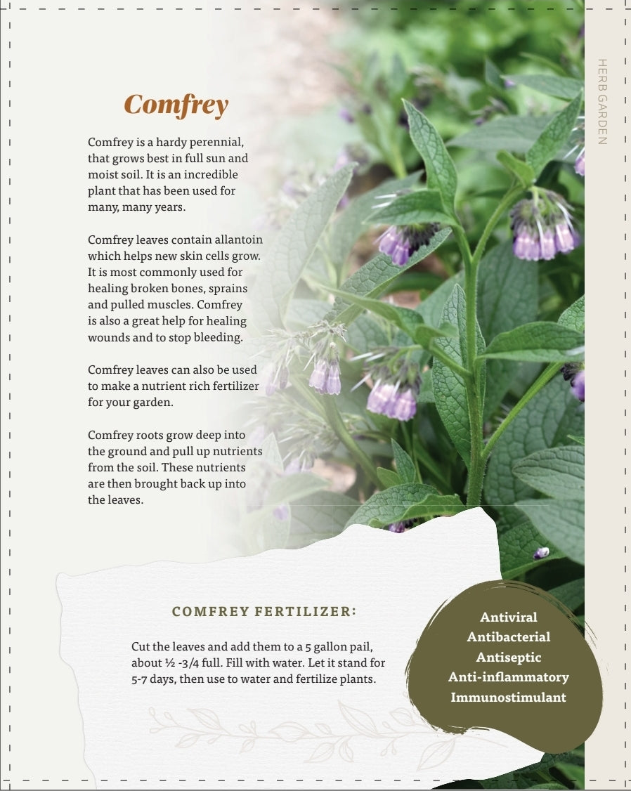 The Nourishing Harvest Cookbook