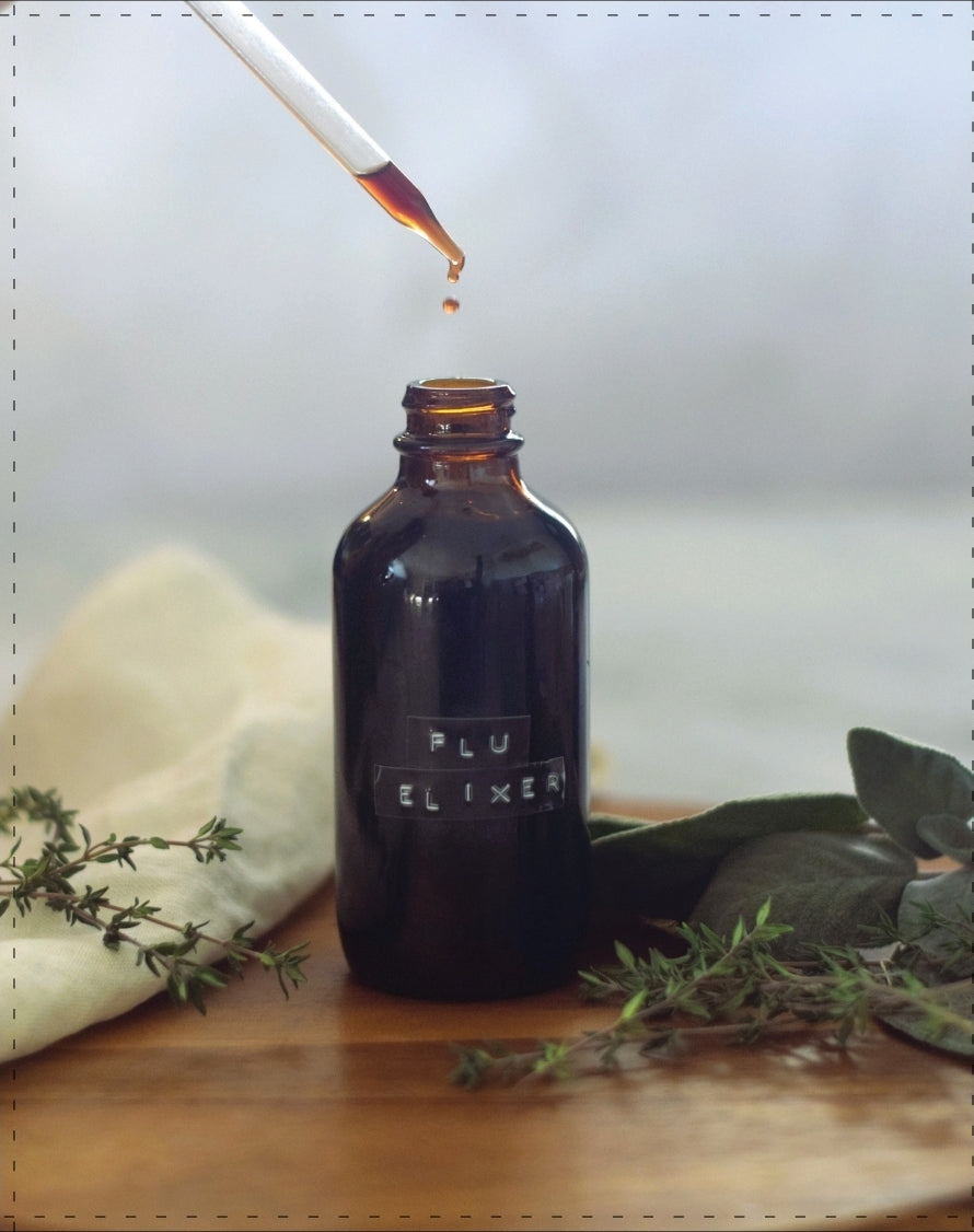 The Nourishing Harvest Cookbook