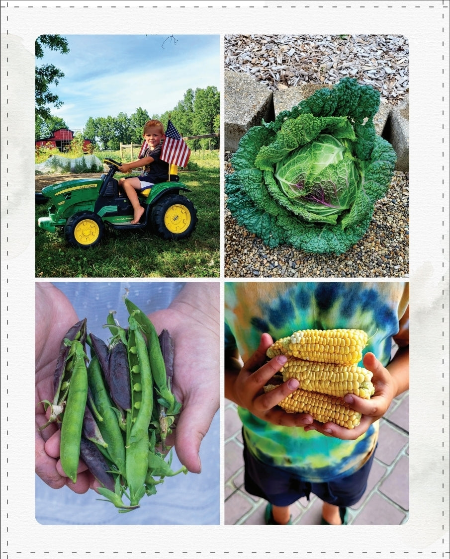 The Nourishing Harvest Cookbook