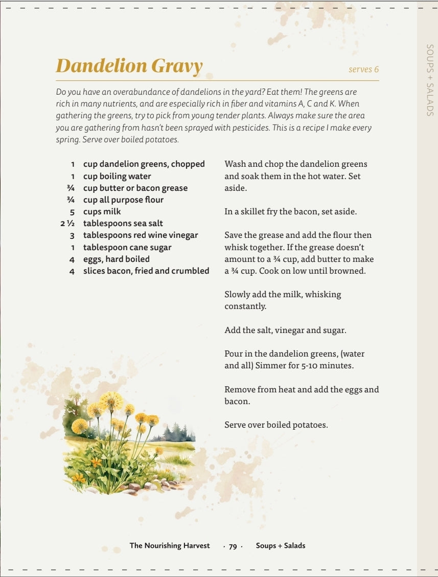 The Nourishing Harvest Cookbook
