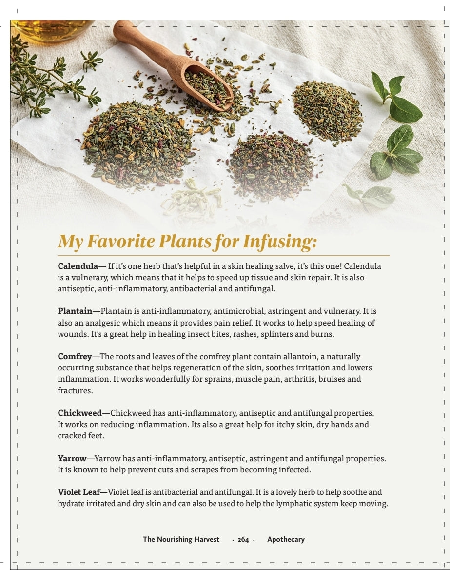 The Nourishing Harvest Cookbook